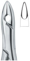 Extracting Forceps American Pattern