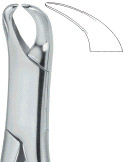 Extracting Forceps American Pattern