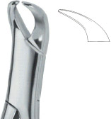 Extracting Forceps American Pattern