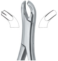 Extracting Forceps American Pattern