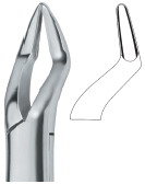 Extracting Forceps American Pattern