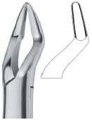 Extracting Forceps American Pattern