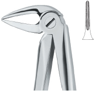 Extracting Forcep English Pattern