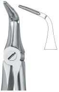 Extracting Forcep English Pattern