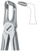 Extracting Forcep English Pattern