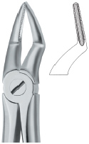 Extracting Forcep English Pattern