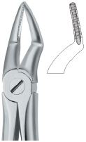 Extracting Forcep English Pattern