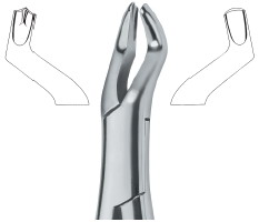 Extracting Forceps American Pattern