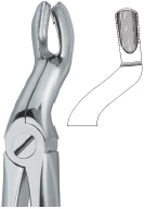 Extracting Forcep English Pattern