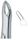 Extracting Forceps American Pattern