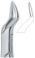 Extracting Forceps American Pattern