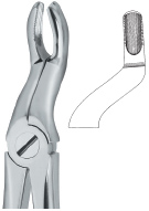 Extracting Forcep English Pattern