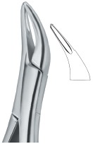 Extracting Forceps American Pattern