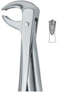 Extracting Forcep English Pattern