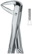 Extracting Forcep English Pattern