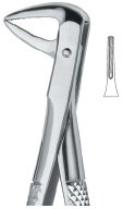 Extracting Forcep English Pattern