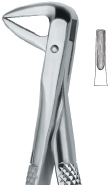 Extracting Forcep English Pattern