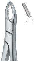 Extracting Forcep English Pattern