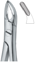 Extracting Forcep English Pattern