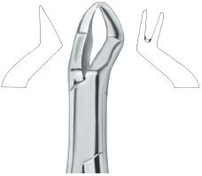 Extracting Forceps American Pattern