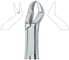 Extracting Forceps American Pattern