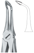 Extracting Forcep English Pattern