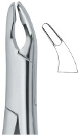 Extracting Forceps American Pattern