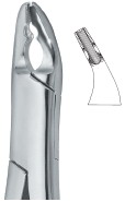 Extracting Forceps American Pattern