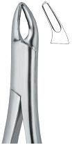 Extracting Forceps American Pattern