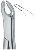 Extracting Forceps American Pattern