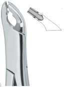 Extracting Forceps American Pattern