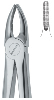 Extracting Forcep English Pattern