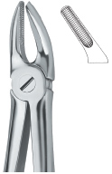 Extracting Forcep English Pattern