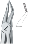 Extracting Forcep English Pattern