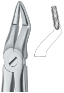 Extracting Forcep English Pattern