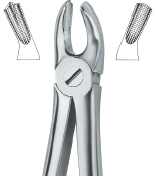 Extracting Forcep English Pattern