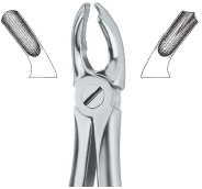 Extracting Forcep English Pattern