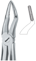 Extracting Forcep English Pattern