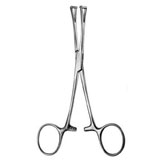 Collin Forceps / Size: 14cm