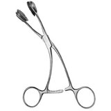 Young Forceps / Size: 17cm