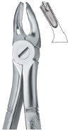 Extracting Forcep English Pattern