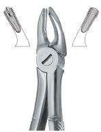 Extracting Forcep English Pattern